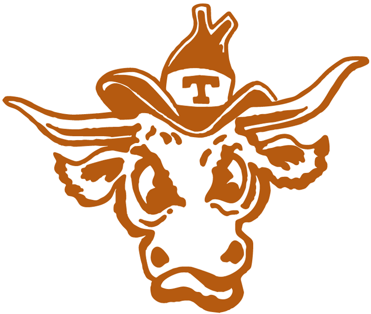 Texas Longhorns 1977-Pres Alternate Logo diy fabric transfers